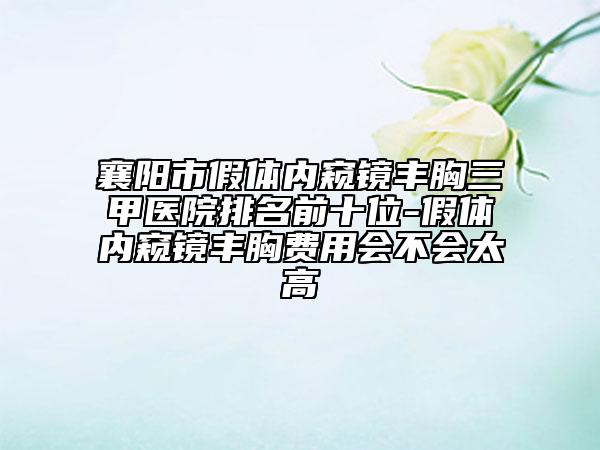 襄阳市假体内窥镜丰胸三甲医院排名前十位-假体内窥镜丰胸费用会不会太高