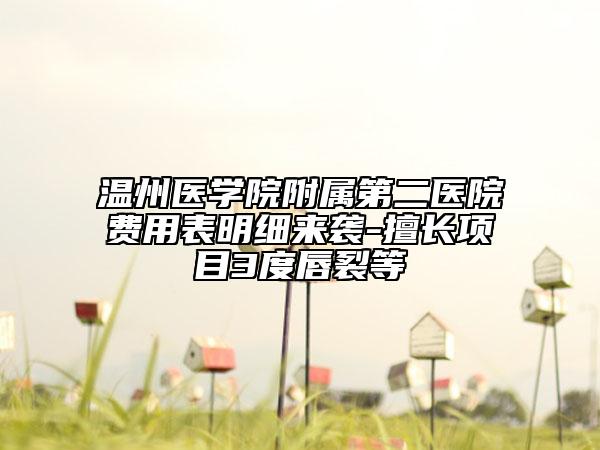 温州医学院附属第二医院费用表明细来袭-擅长项目3度唇裂等