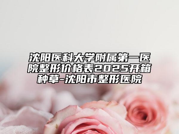 沈阳医科大学附属第一医院整形价格表2025开箱种草-沈阳市整形医院