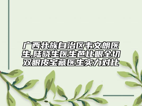 广西壮族自治区韦文朗医生,陆晓生医生芭比眼全切双眼皮宝藏医生实力对比