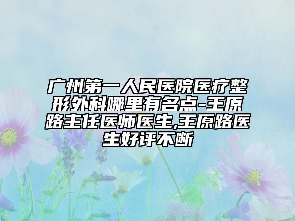 广州第一人民医院医疗整形外科哪里有名点-王原路主任医师医生,王原路医生好评不断