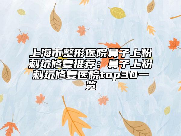 上海市整形医院鼻子上粉刺坑修复推荐：鼻子上粉刺坑修复医院top30一览