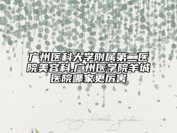 广州医科大学附属第二医院美容科,广州医学院羊城医院哪家更厉害
