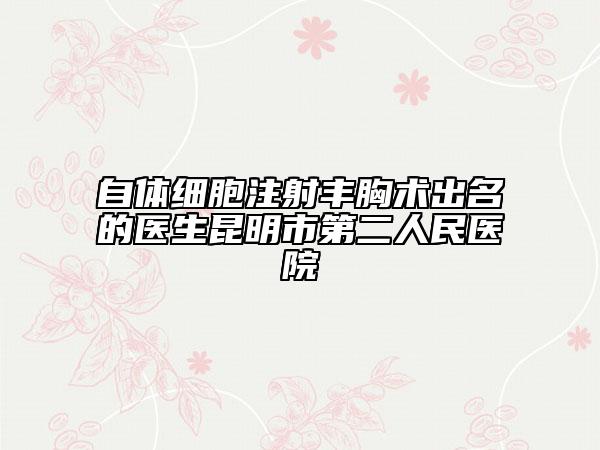 自体细胞注射丰胸术出名的医生昆明市第二人民医院