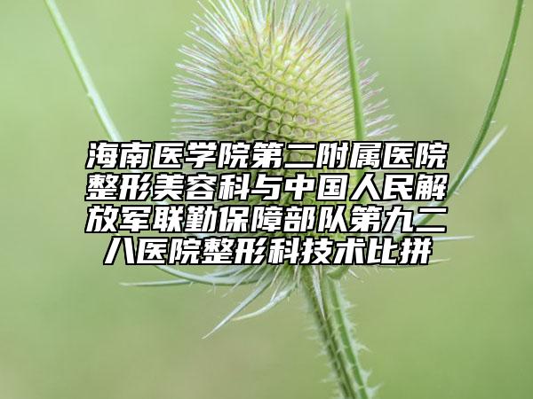 海南医学院第二附属医院整形美容科与中国人民解放军联勤保障部队第九二八医院整形科技术比拼