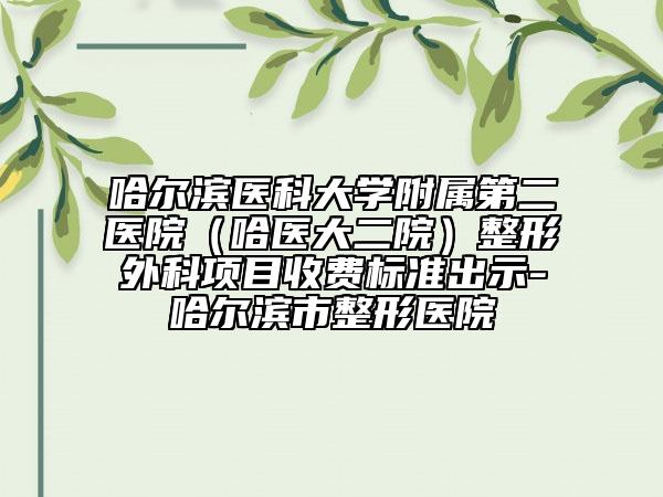 哈尔滨医科大学附属第二医院（哈医大二院）整形外科项目收费标准出示-哈尔滨市整形医院