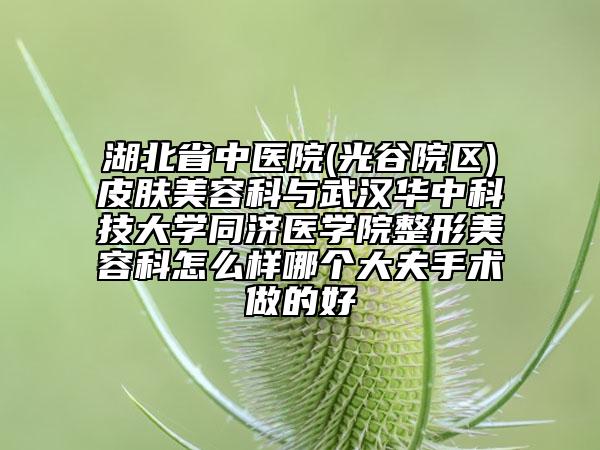 湖北省中医院(光谷院区)皮肤美容科与武汉华中科技大学同济医学院整形美容科怎么样哪个大夫手术做的好