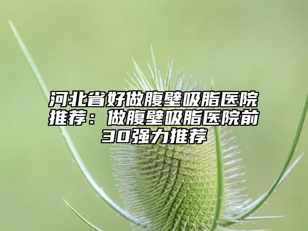 河北省好做腹壁吸脂医院推荐：做腹壁吸脂医院前30强力推荐