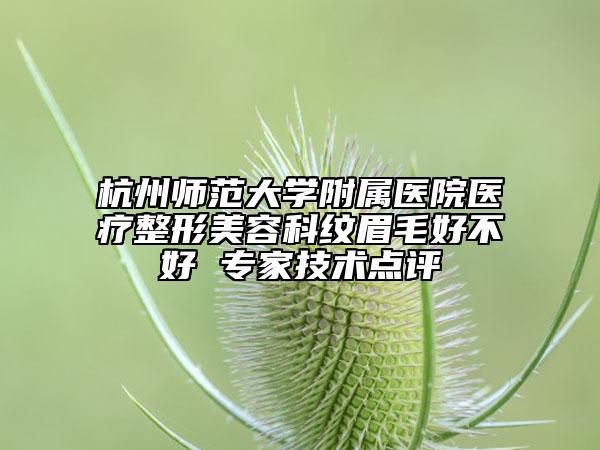 杭州师范大学附属医院医疗整形美容科纹眉毛好不好 专家技术点评