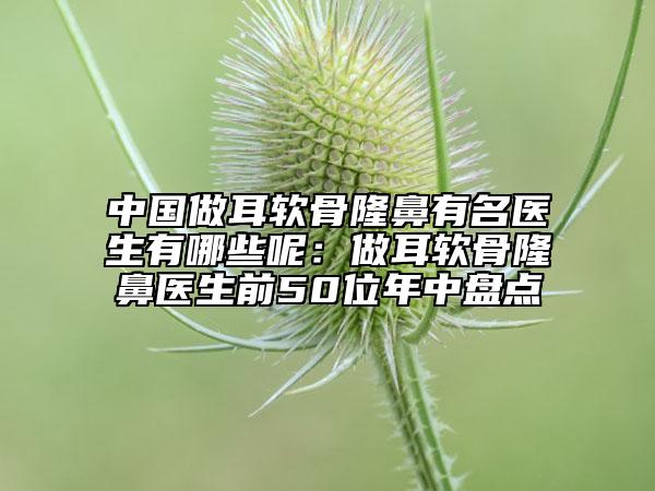 中国做耳软骨隆鼻有名医生有哪些呢：做耳软骨隆鼻医生前50位年中盘点