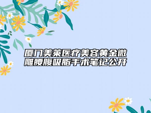 厦门美莱医疗美容黄金微雕腰腹吸脂手术笔记公开