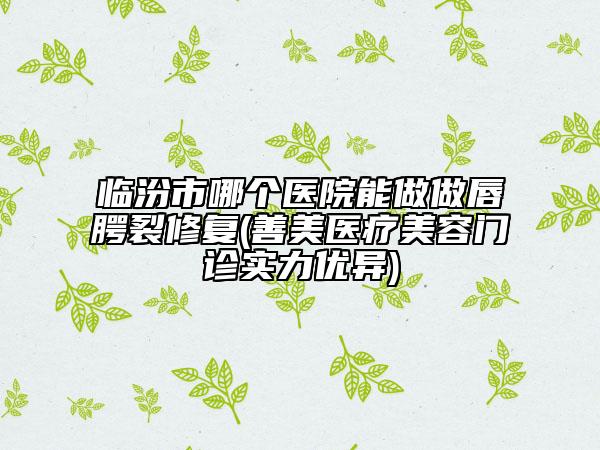 临汾市哪个医院能做做唇腭裂修复(善美医疗美容门诊实力优异)