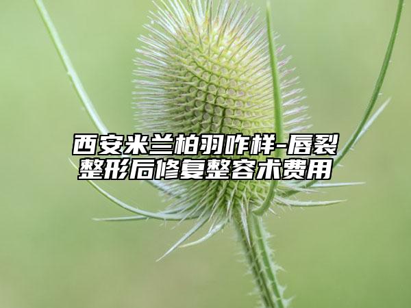 西安米兰柏羽咋样-唇裂整形后修复整容术费用