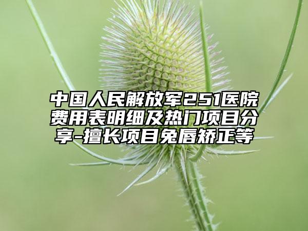 中国人民解放军251医院费用表明细及热门项目分享-擅长项目兔唇矫正等