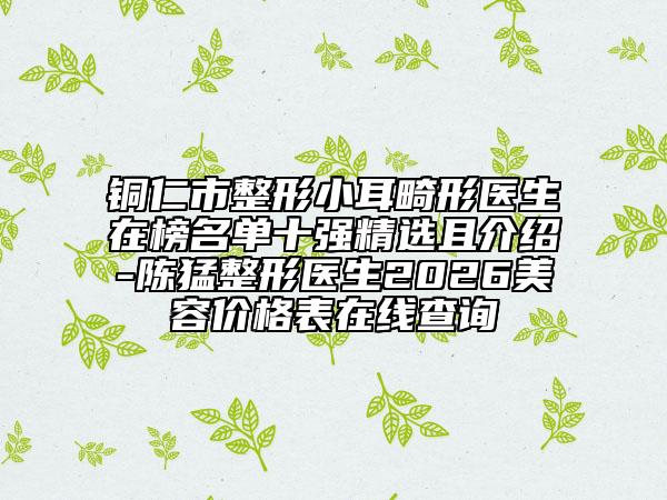铜仁市整形小耳畸形医生在榜名单十强精选且介绍-陈猛整形医生2026美容价格表在线查询
