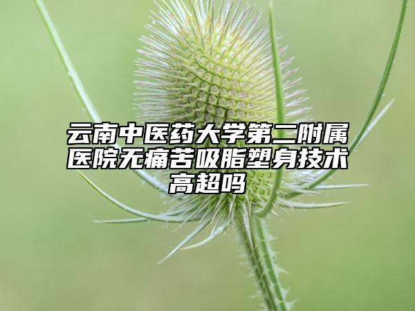 云南中医药大学第二附属医院无痛苦吸脂塑身技术高超吗