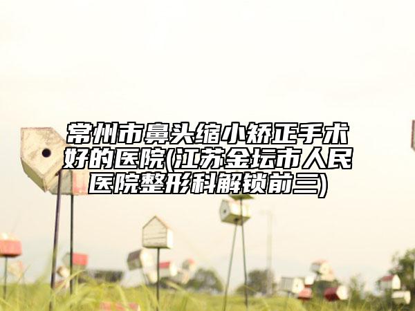 常州市鼻头缩小矫正手术好的医院(江苏金坛市人民医院整形科解锁前三)