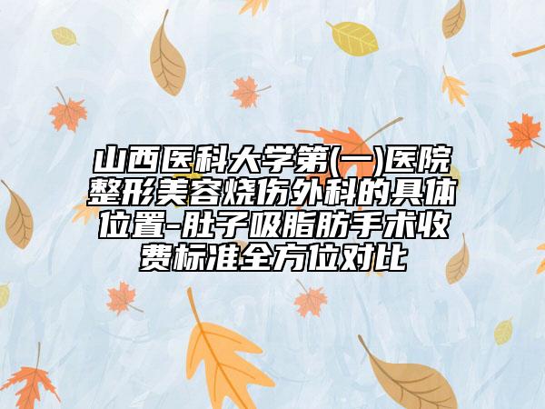 山西医科大学第(一)医院整形美容烧伤外科的具体位置-肚子吸脂肪手术收费标准全方位对比