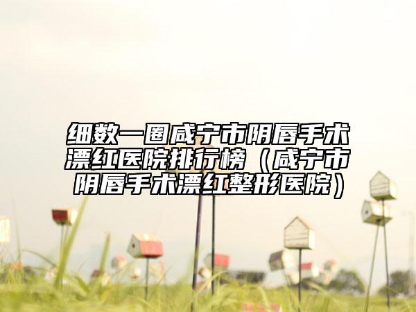 细数一圈咸宁市阴唇手术漂红医院排行榜（咸宁市阴唇手术漂红整形医院）