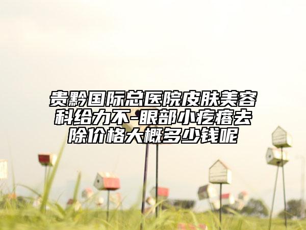 贵黔国际总医院皮肤美容科给力不-眼部小疙瘩去除价格大概多少钱呢