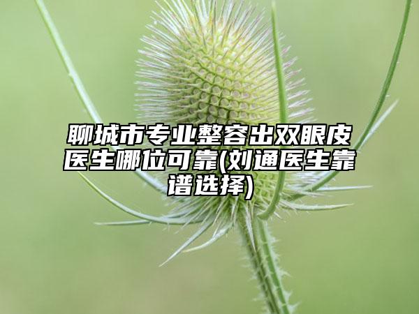 聊城市专业整容出双眼皮医生哪位可靠(刘通医生靠谱选择)