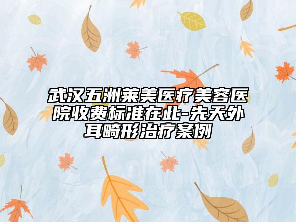 武汉五洲莱美医疗美容医院收费标准在此-先天外耳畸形治疗案例