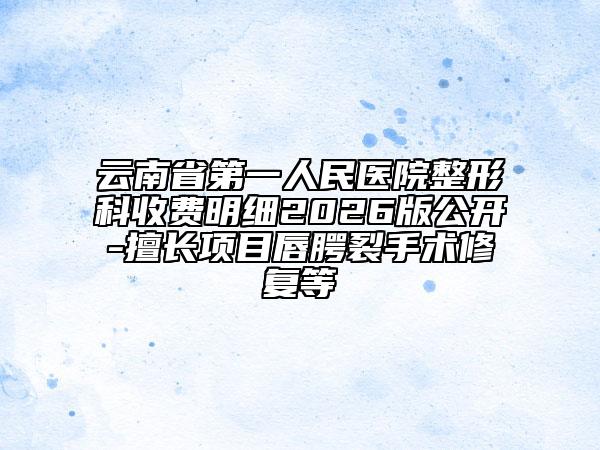 云南省第一人民医院整形科收费明细2026版公开-擅长项目唇腭裂手术修复等