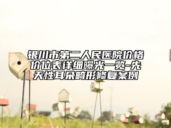 银川市第二人民医院价格价位表详细曝光一览-先天性耳朵畸形修复案例