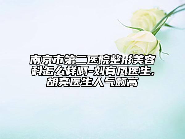 南京市第二医院整形美容科怎么样啊-刘育凤医生,胡亮医生人气颇高