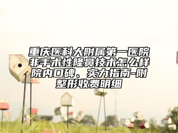 重庆医科大附属第一医院非手术性隆鼻技术怎么样院内口碑、实力指南-附整形收费明细