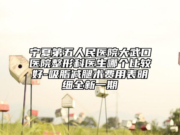 宁夏第五人民医院大武口医院整形科医生哪个比较好-吸脂减腿术费用表明细全新一期