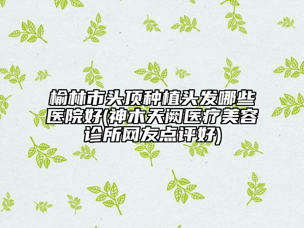 榆林市头顶种植头发哪些医院好(神木天阙医疗美容诊所网友点评好)
