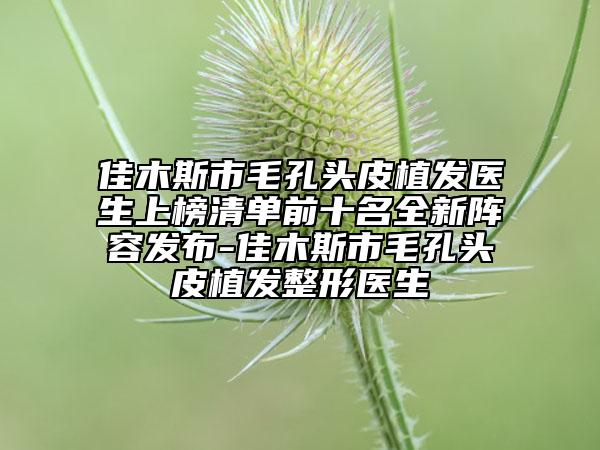 佳木斯市毛孔头皮植发医生上榜清单前十名全新阵容发布-佳木斯市毛孔头皮植发整形医生