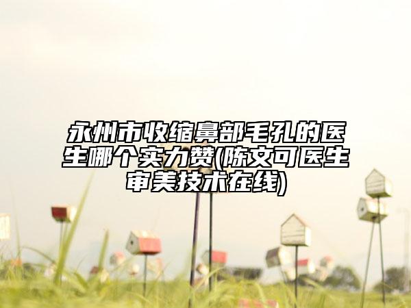 永州市收缩鼻部毛孔的医生哪个实力赞(陈文可医生审美技术在线)