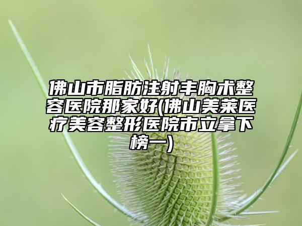 佛山市脂肪注射丰胸术整容医院那家好(佛山美莱医疗美容整形医院市立拿下榜一)
