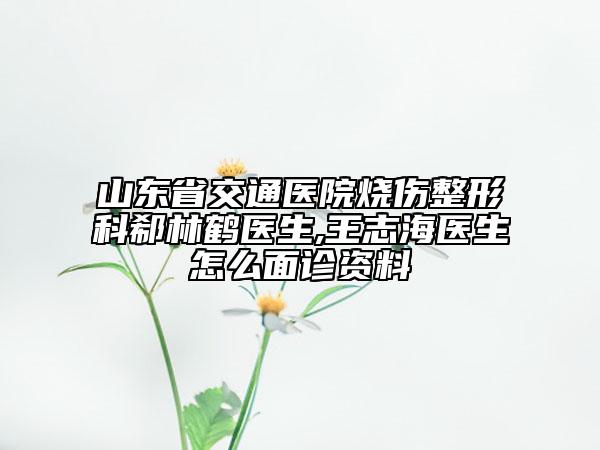 山东省交通医院烧伤整形科郗林鹤医生,王志海医生怎么面诊资料