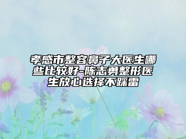 孝感市整容鼻子大医生哪些比较好-陈志勇整形医生放心选择不踩雷