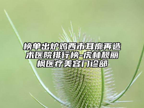 榜单出炉鸡西市耳廓再造术医院排行榜-虎林靓丽枫医疗美容门诊部