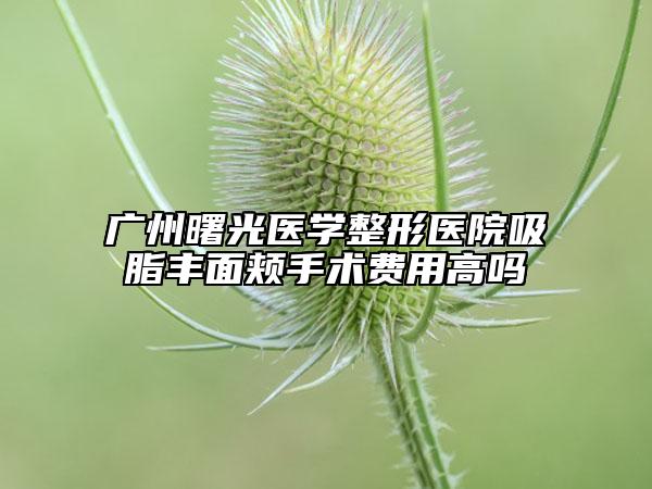 广州曙光医学整形医院吸脂丰面颊手术费用高吗