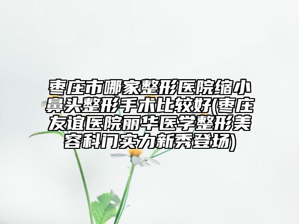 枣庄市哪家整形医院缩小鼻头整形手术比较好(枣庄友谊医院丽华医学整形美容科门实力新秀登场)