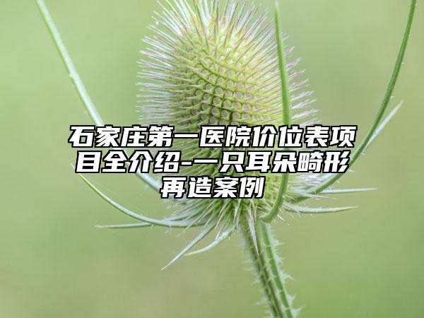 石家庄第一医院价位表项目全介绍-一只耳朵畸形再造案例