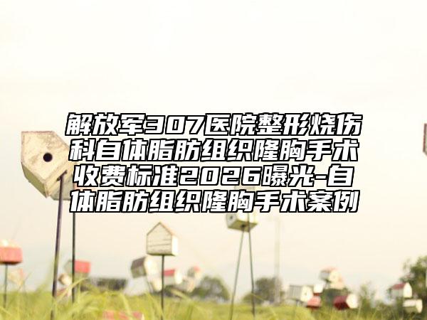 解放军307医院整形烧伤科自体脂肪组织隆胸手术收费标准2026曝光-自体脂肪组织隆胸手术案例