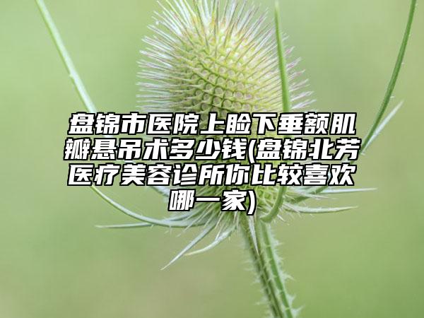 盘锦市医院上睑下垂额肌瓣悬吊术多少钱(盘锦北芳医疗美容诊所你比较喜欢哪一家)