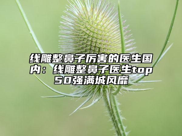 线雕整鼻子厉害的医生国内：线雕整鼻子医生top50强满城风靡