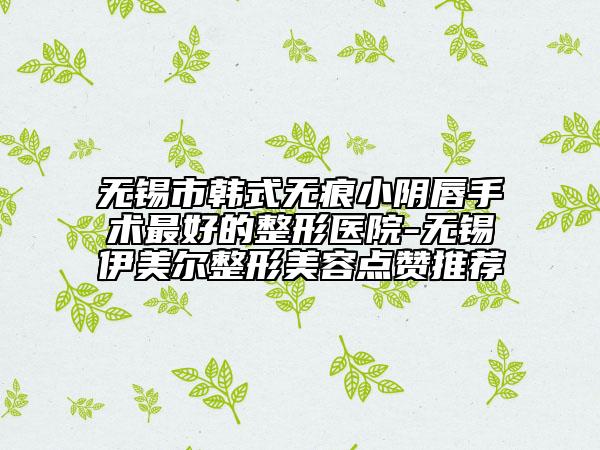 无锡市韩式无痕小阴唇手术最好的整形医院-无锡伊美尔整形美容点赞推荐