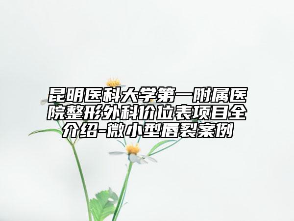 昆明医科大学第一附属医院整形外科价位表项目全介绍-微小型唇裂案例