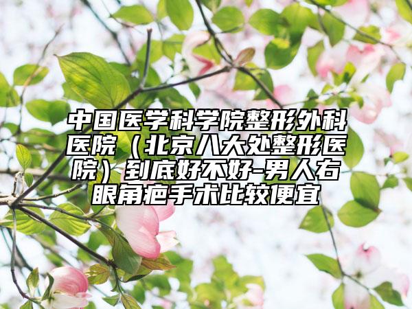 中国医学科学院整形外科医院（北京八大处整形医院）到底好不好-男人右眼角疤手术比较便宜