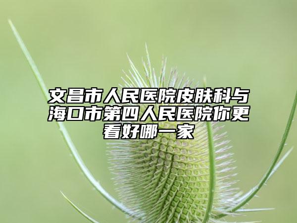 文昌市人民医院皮肤科与海口市第四人民医院你更看好哪一家