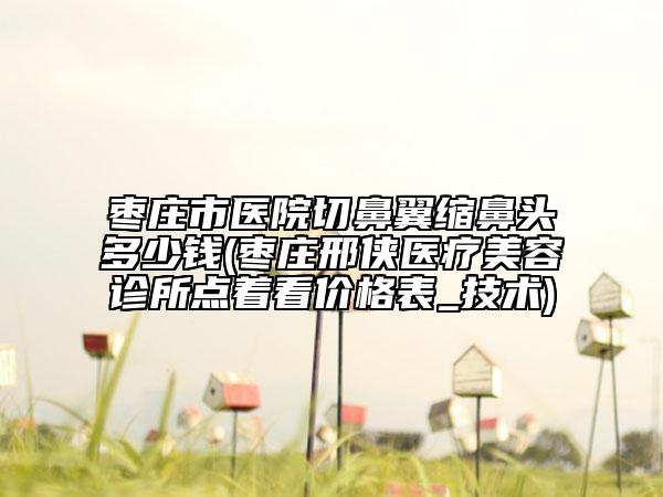 枣庄市医院切鼻翼缩鼻头多少钱(枣庄邢侠医疗美容诊所点着看价格表_技术)