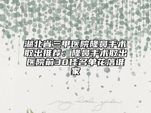 湖北省三甲医院隆鼻手术取出推荐：隆鼻手术取出医院前30佳名单花落谁家